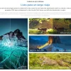 Smart TV TCL 4K 65P6K HDR 10+ MEMC 15 Smart TV TCL 65" 4K 65P6K HDR 10+ MEMC